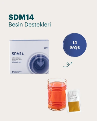 SDM14